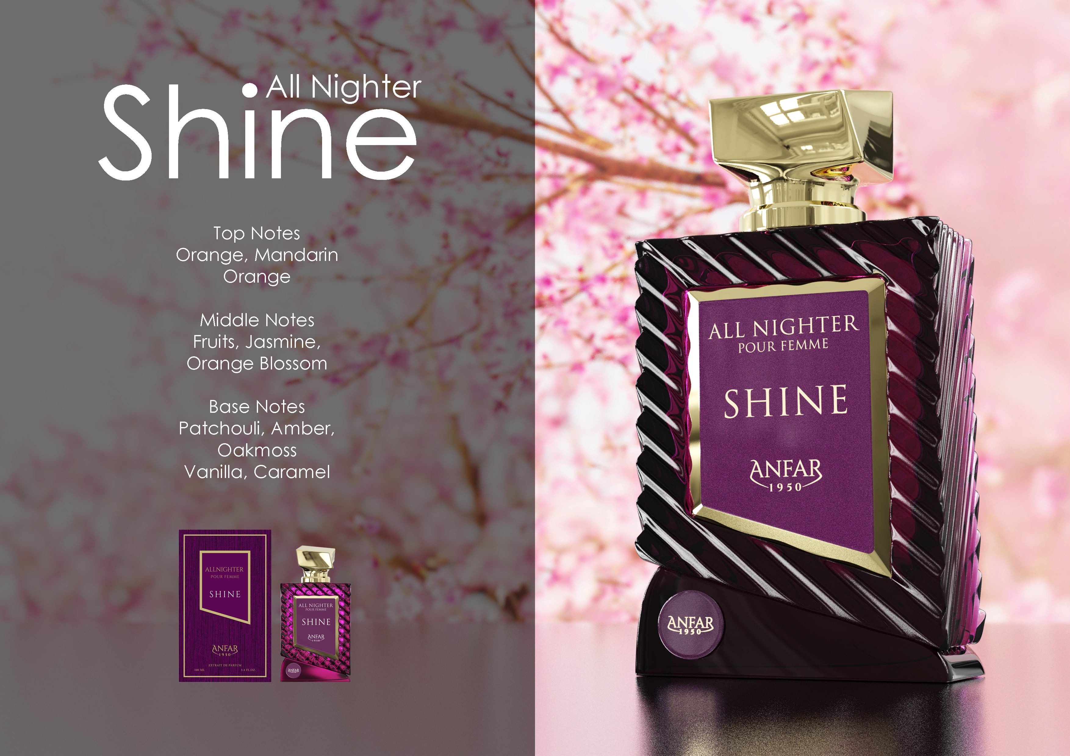 ANFAR 1950 ALL NIGHTER SHINE